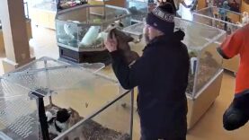 250224-colorado-pet-store-robbery-snip-ac-648p-513b65.jpg